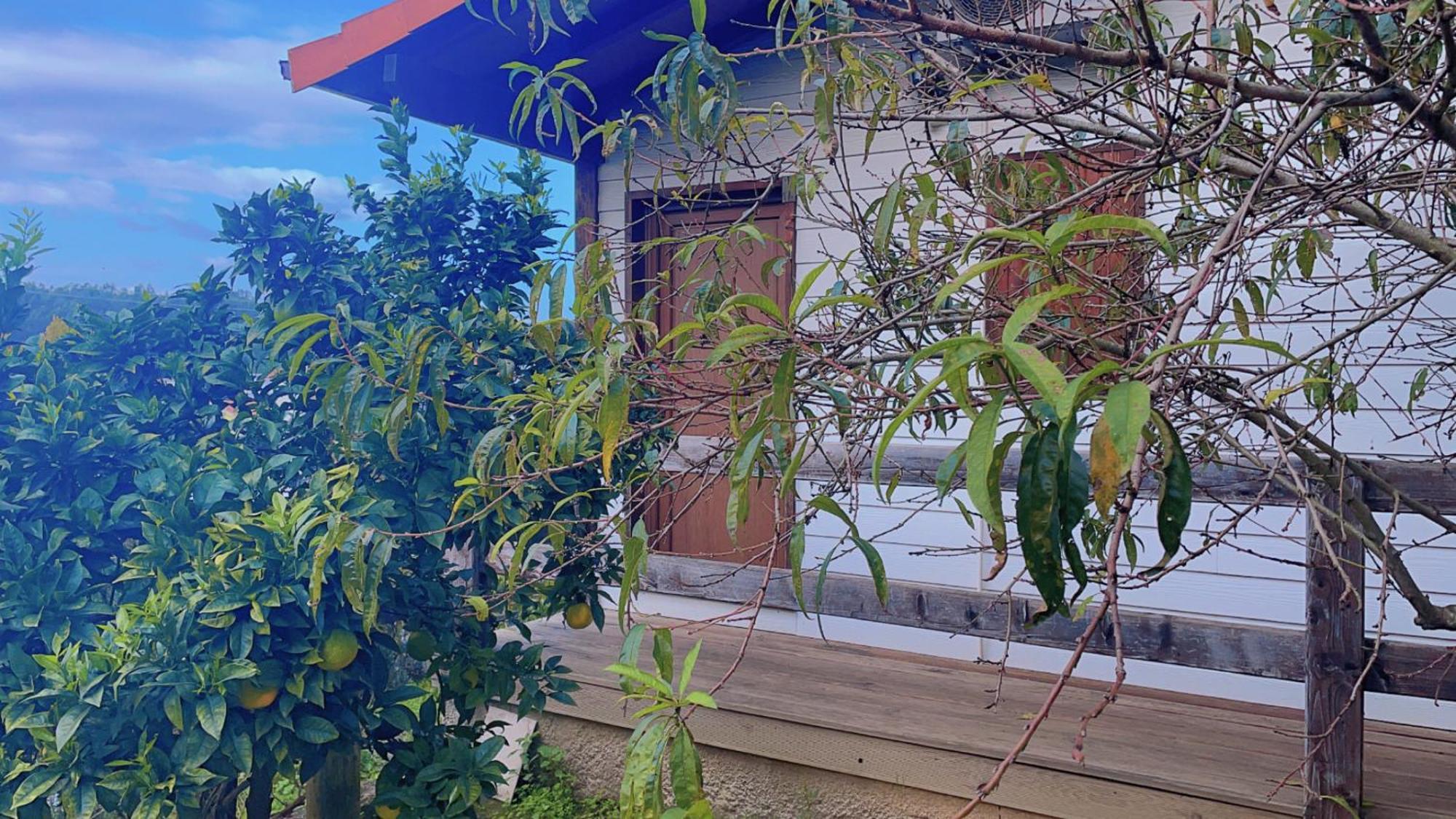 Jantesta Guest House Coímbra Exterior foto